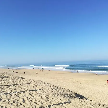 Bourg, Jolie Petite Maison Pour 4 Personnes Avec Terrasse Et Jardin Willa Biscarrosse
