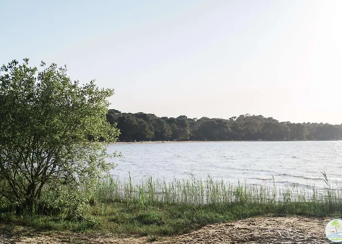 Bourg, Jolie Petite Maison Pour 4 Personnes Avec Terrasse Et Jardin